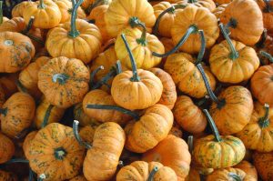 Holiday Catering In Raleigh